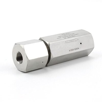 Válvulas de verificación de 100cv